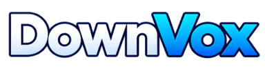 DownVox Twitter Video Downloader